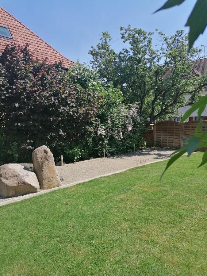 Apartment Schriner Huess - D'hotes & Beblenheim